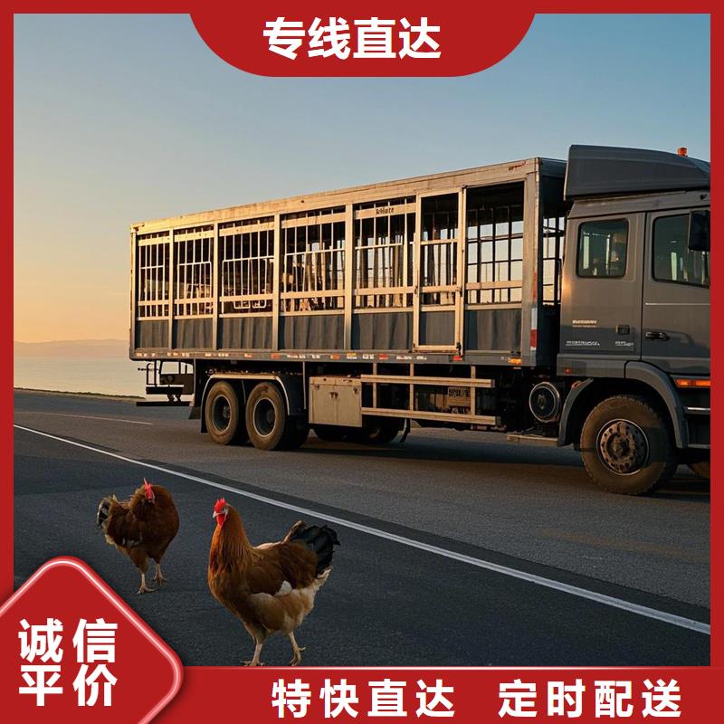 尉氏到麻涌镇物流专线货运公司