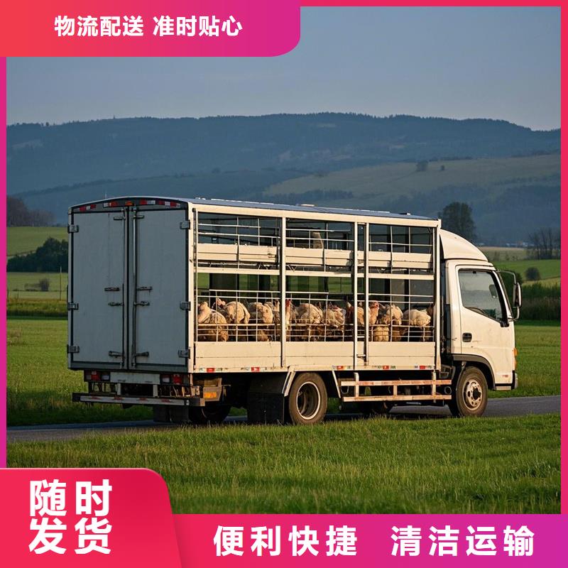 濮阳到望谟物流专线货运公司