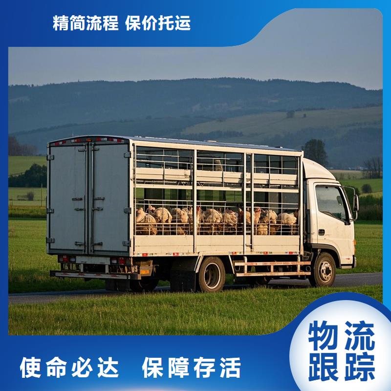 尉氏到抚远物流专线货运公司