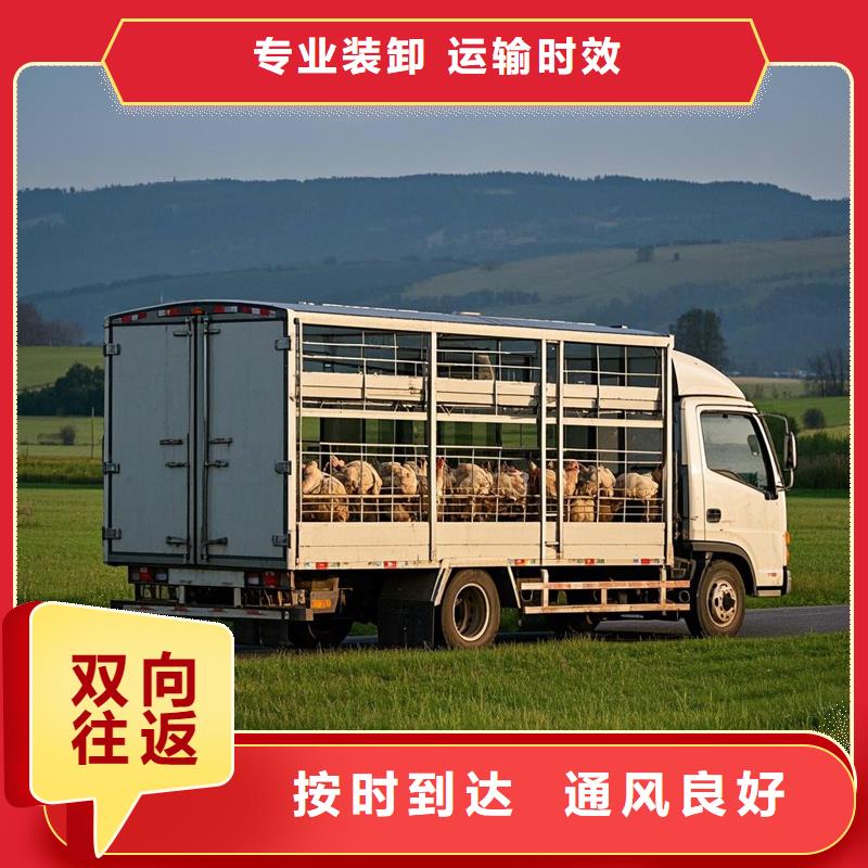 濮阳到连江物流专线货运公司