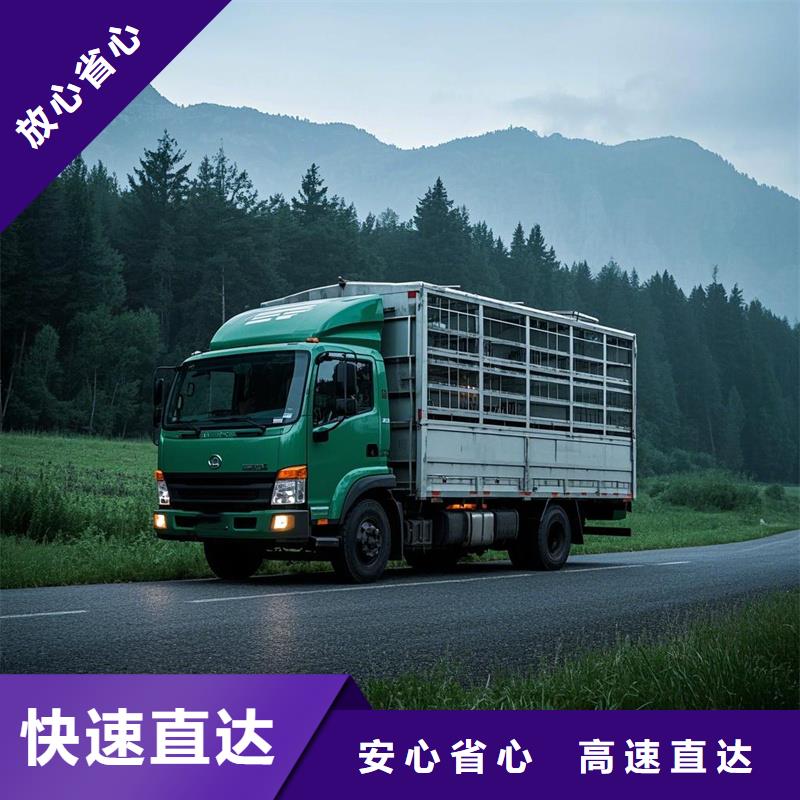 柳州到九龙物流专线货运公司