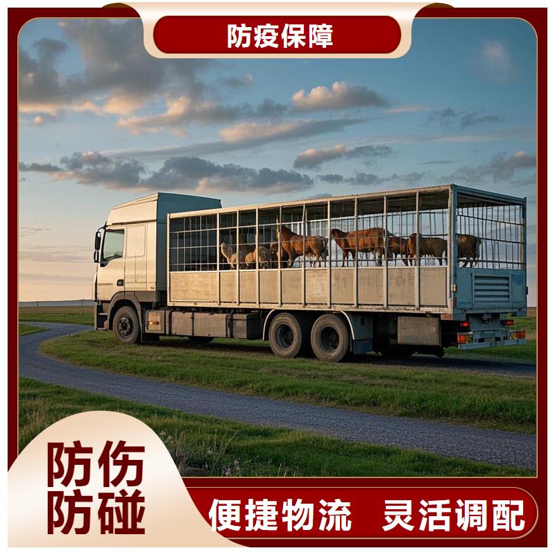 滁州到龙沙物流专线货运公司