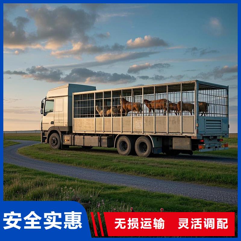 淮北到阜南物流专线货运公司