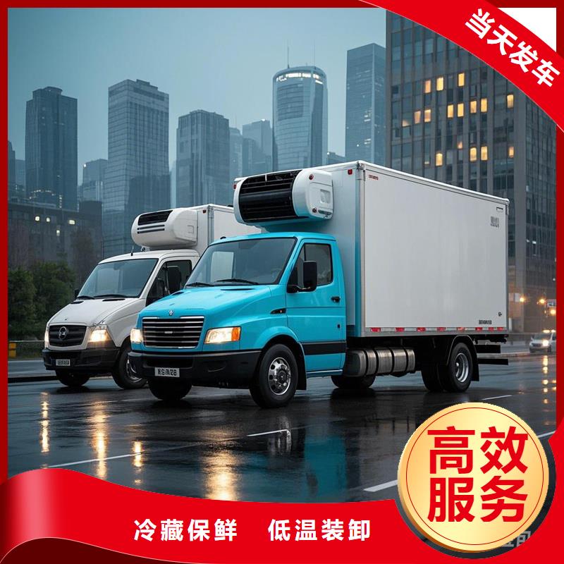 柳州到滨海新物流专线货运公司