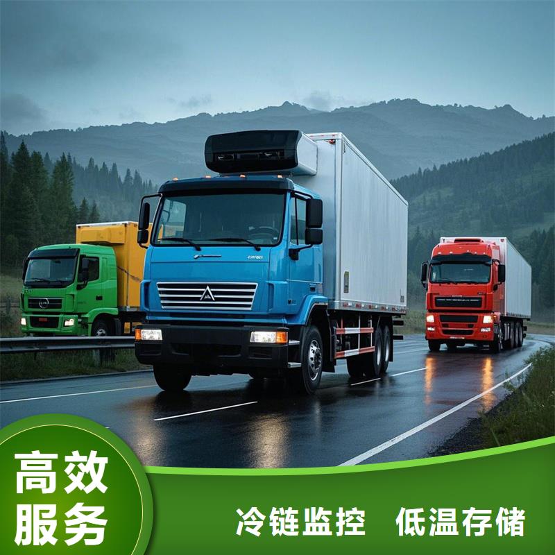 忻府到商城物流专线货运公司