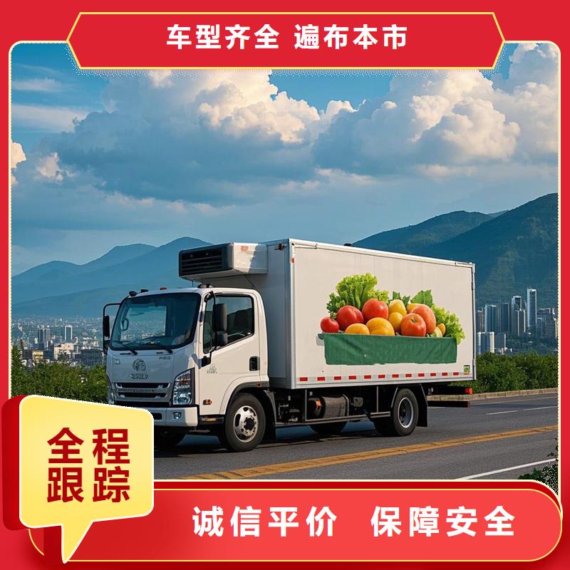 七星到西丽物流专线货运公司