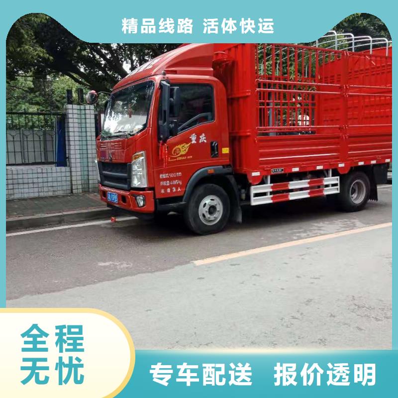 尉氏到顺平物流专线货运公司