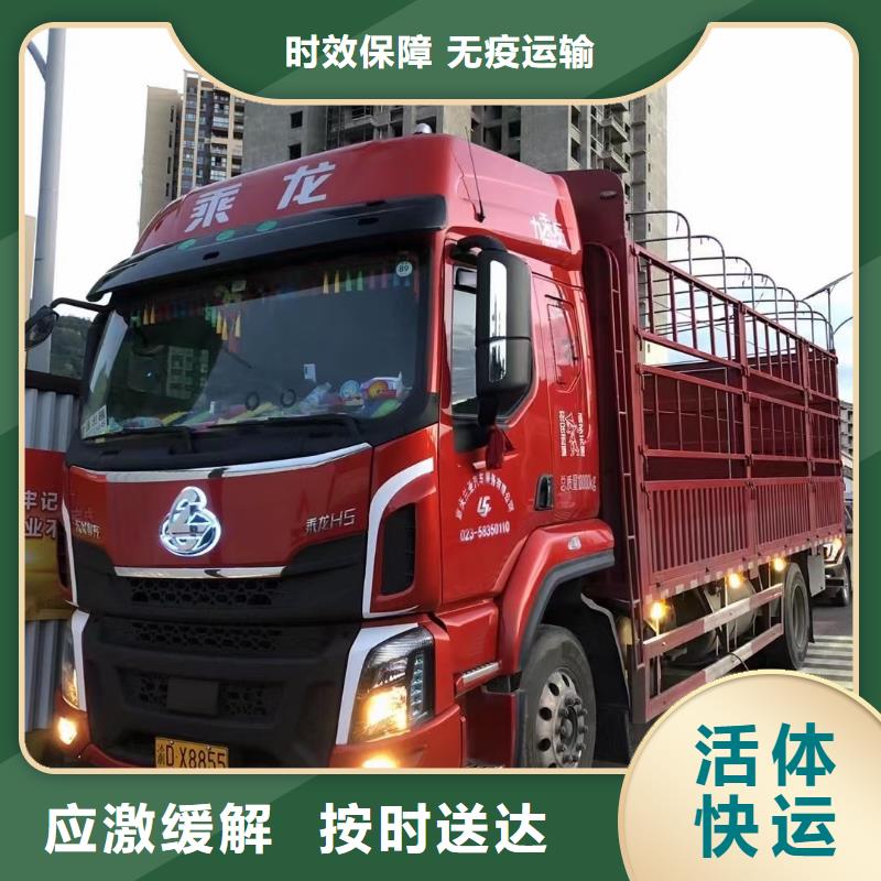 河源到花溪物流专线货运公司
