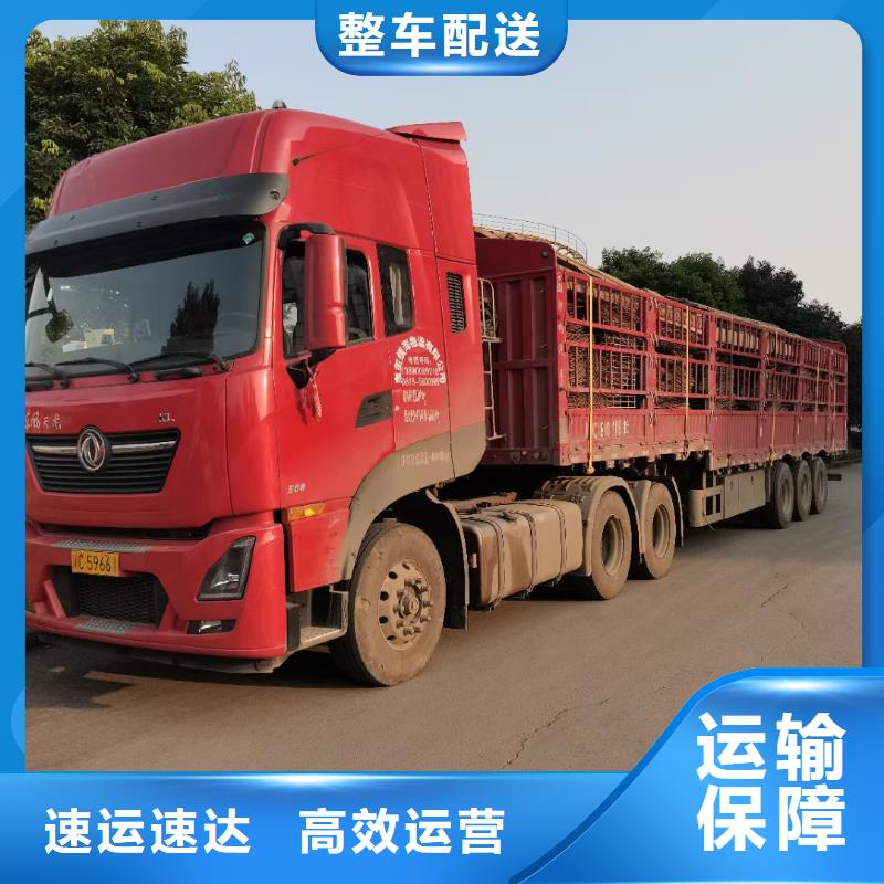 绥化到沿滩物流专线货运公司